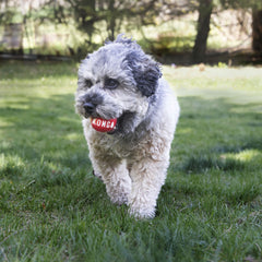 Signature Balls 2-pk